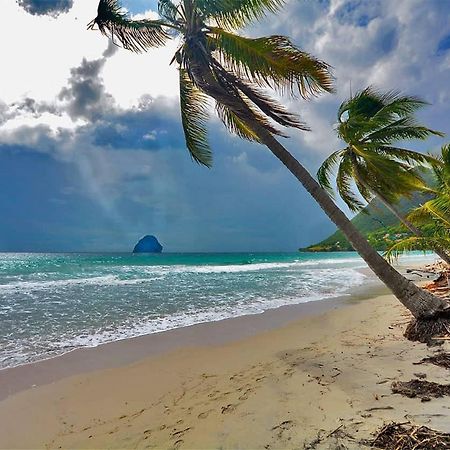 Malilia Beach A Sainte-Anne - Wifi -5 Min A Pied De La Plage Eksteriør billede